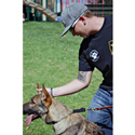 2013 : Service K9 Beau Presented to Army Sgt Brandon Tennery