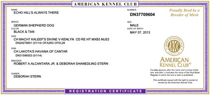 Koda's Registration Certificate