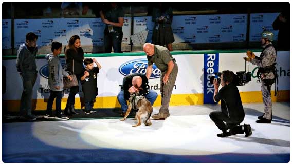 Another service dog has been paired up with a veteran.