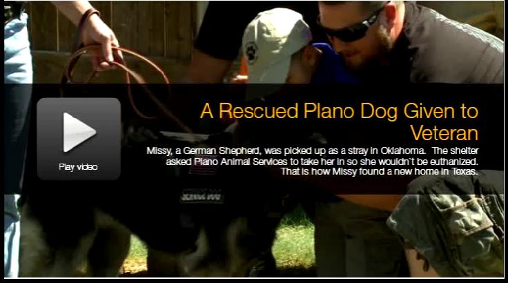 U.S. Army SGT Mike Barker, Missy and Trainer Jacqueline Konold: CW33, Plano, Texas