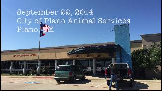 U.S. Army SGT Mike Barker, Missy and Trainer Jacqueline Konold at the City of Plano Animal Services, Plano, Texas