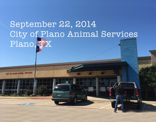 U.S. Army SGT Mike Barker, Missy and Trainer Jacqueline Konold at the City of Plano Animal Services, Plano, Texas